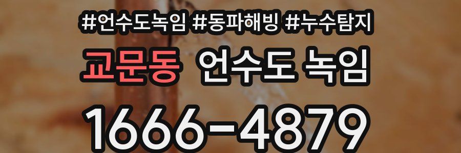 교문동 언수도 녹임