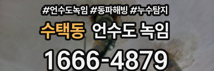 수택동 언수도 녹임