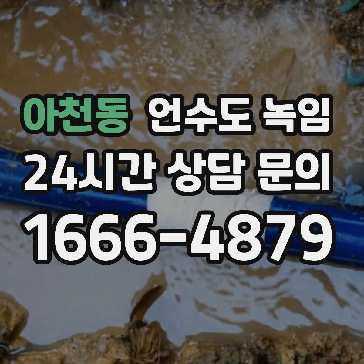 아천동 언수도 녹임