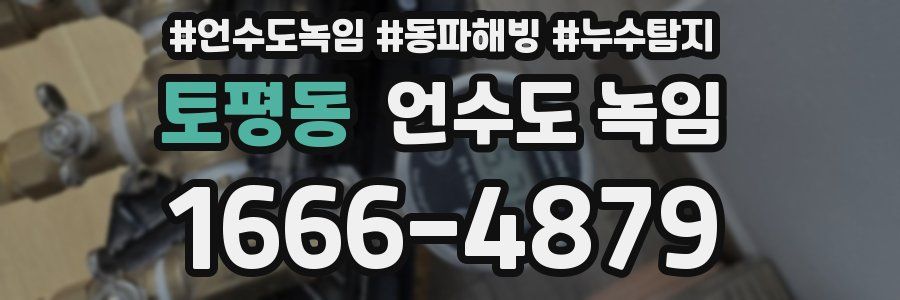 토평동 언수도 녹임