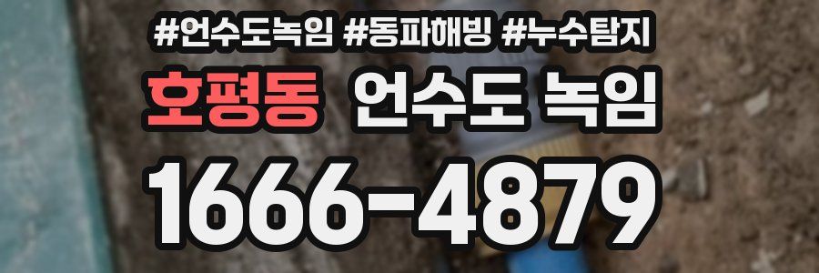 호평동 언수도 녹임