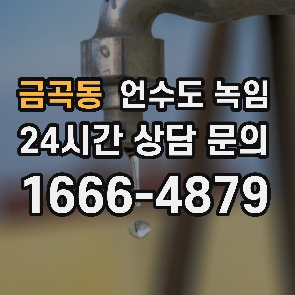 금곡동 언수도 녹임