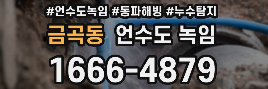 금곡동 언수도 녹임