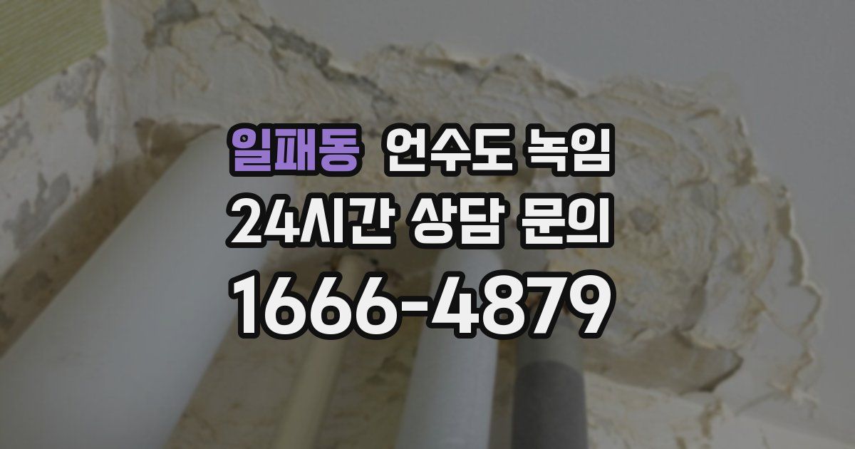 일패동 언수도 녹임