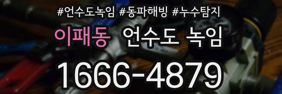 이패동 언수도 녹임