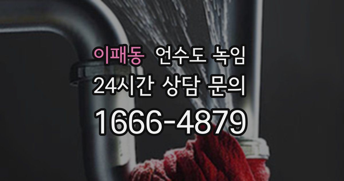 이패동 언수도 녹임