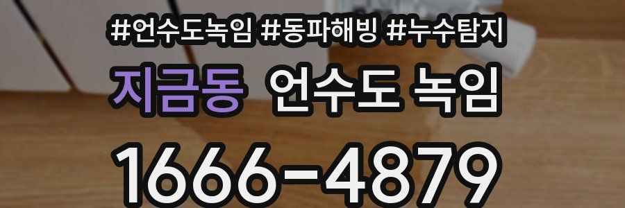 지금동 언수도 녹임