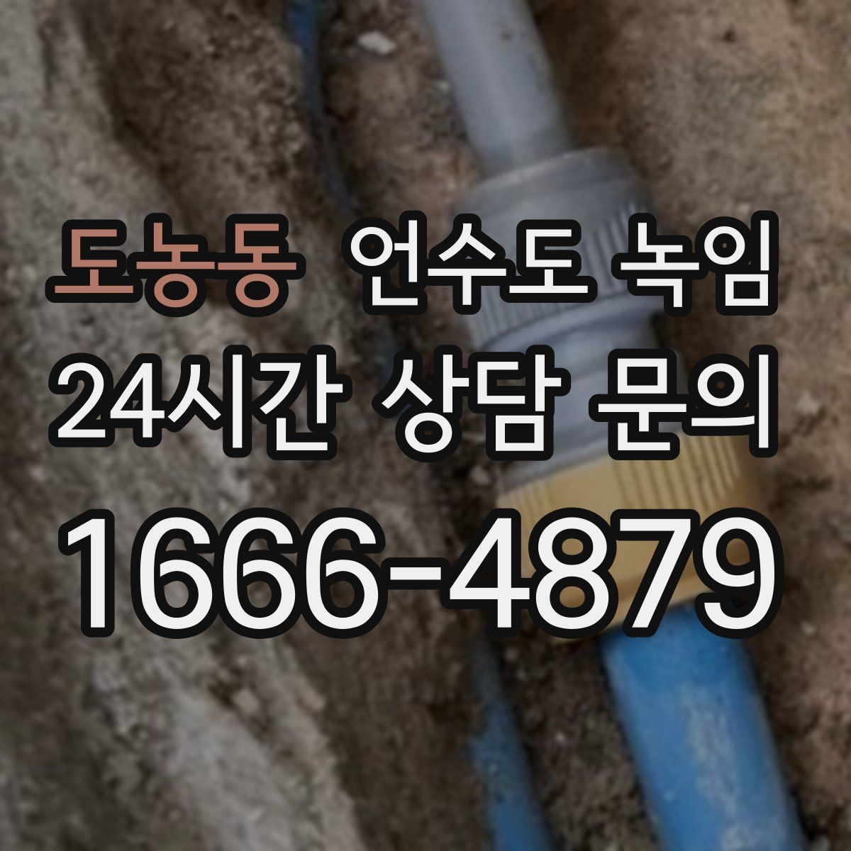 도농동 언수도 녹임