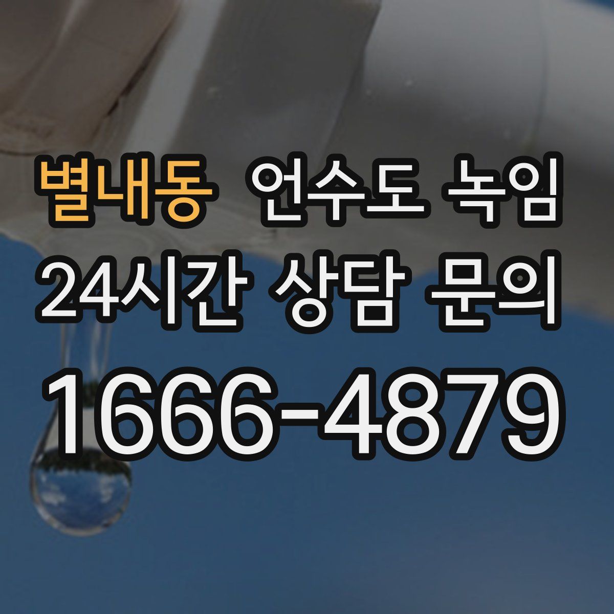 별내동 언수도 녹임