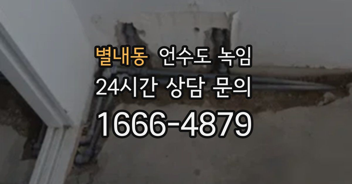 별내동 언수도 녹임