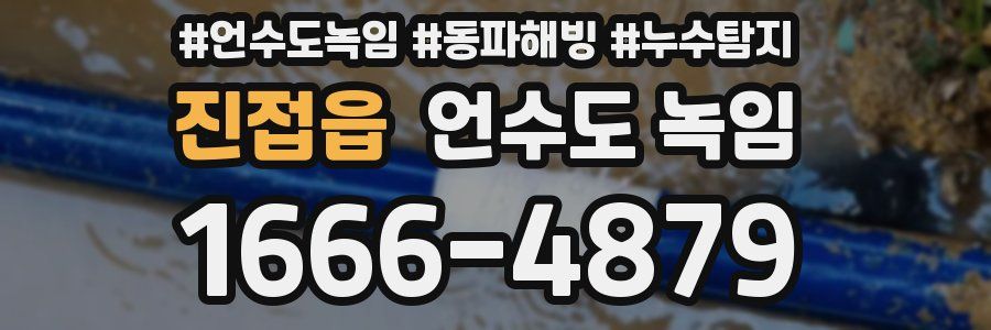 진접읍 언수도 녹임