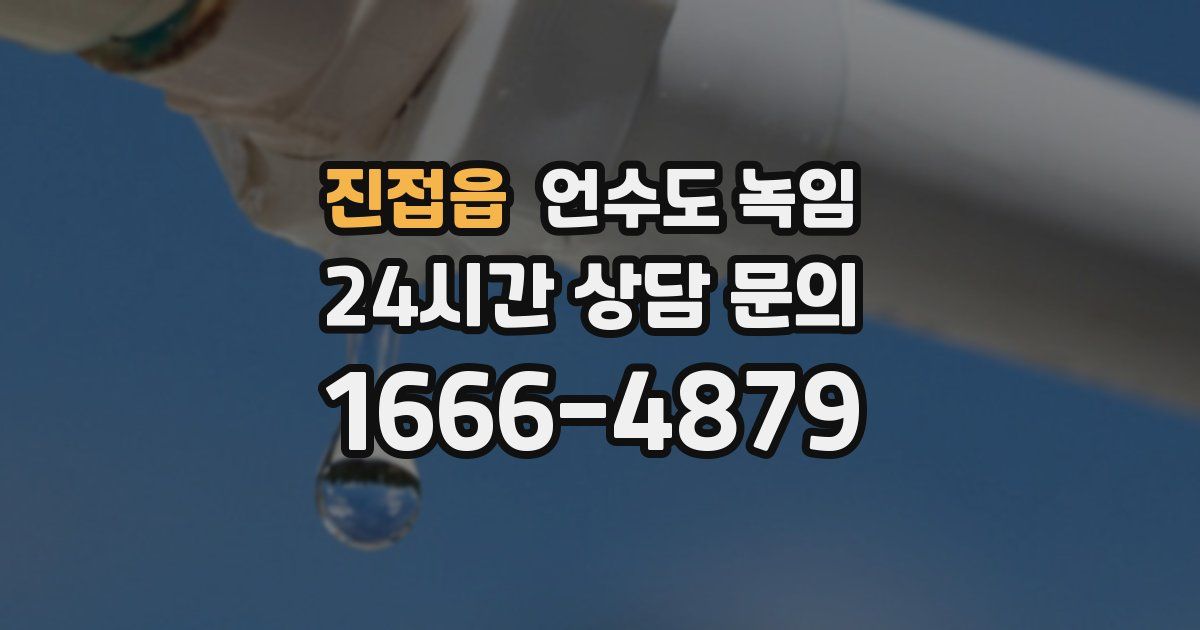 진접읍 언수도 녹임