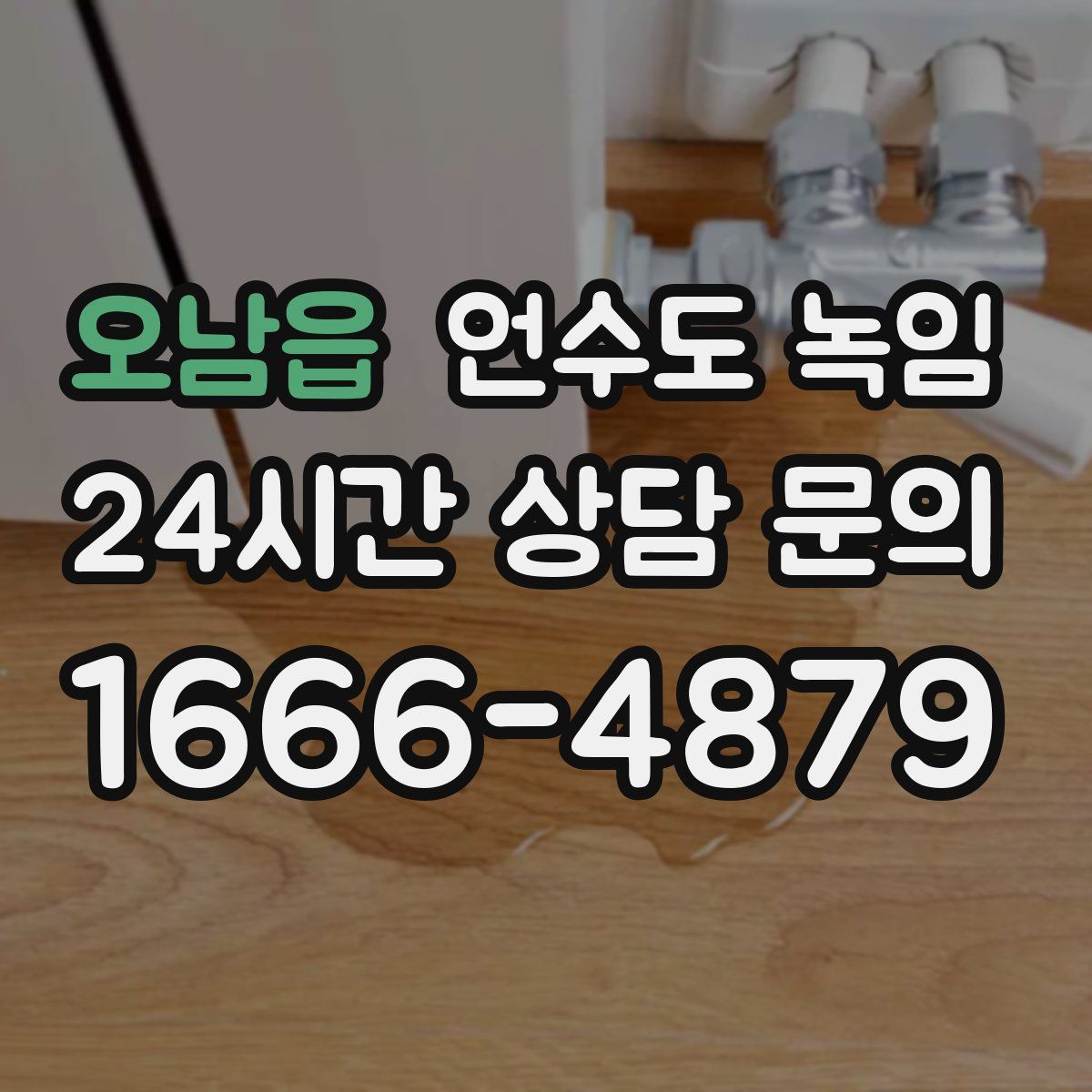 오남읍 언수도 녹임