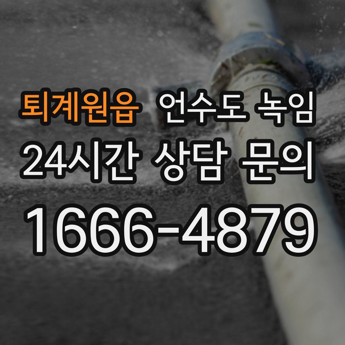 퇴계원읍 언수도 녹임