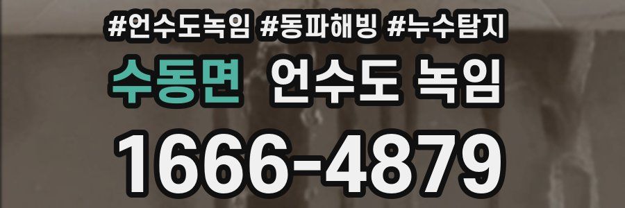 수동면 언수도 녹임