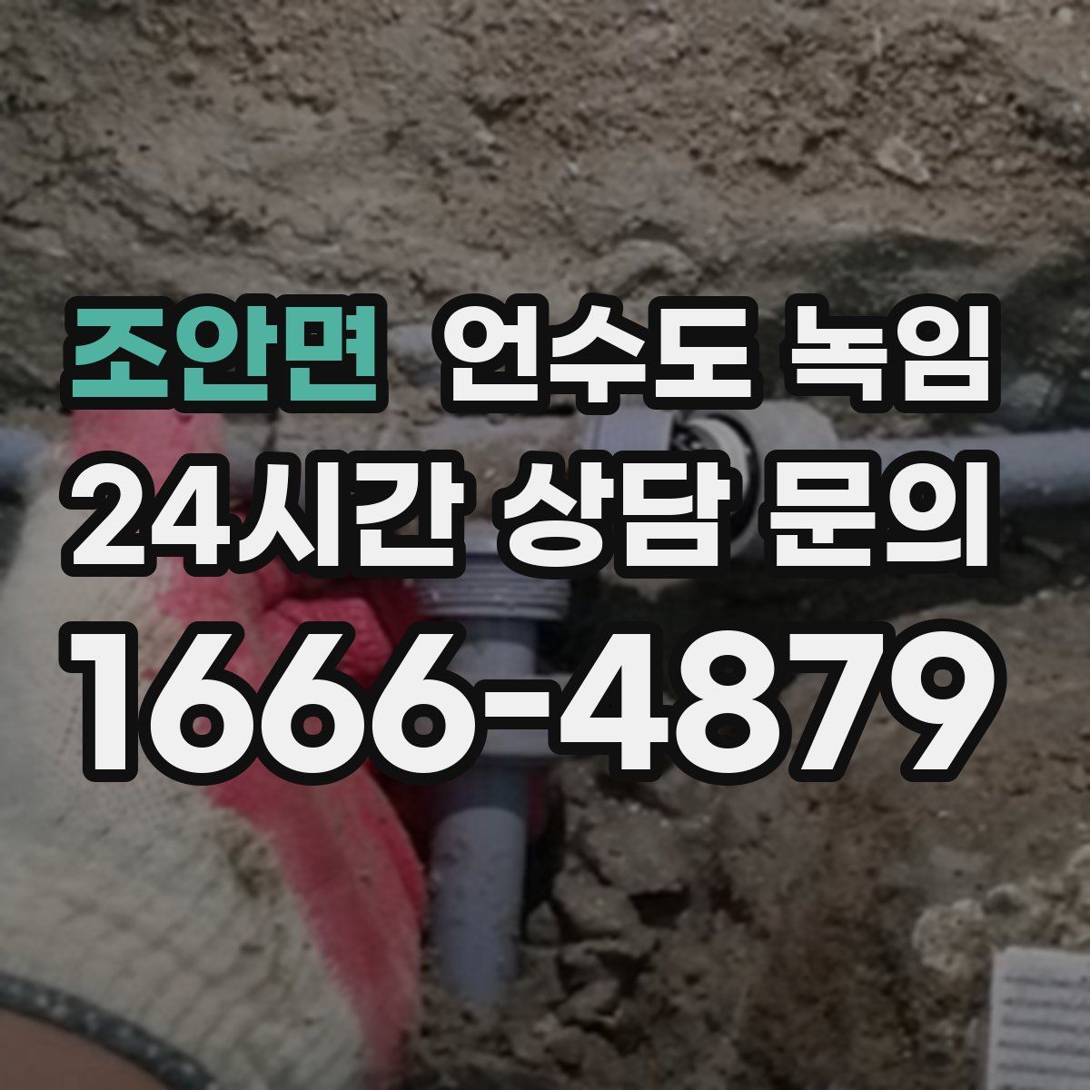 조안면 언수도 녹임