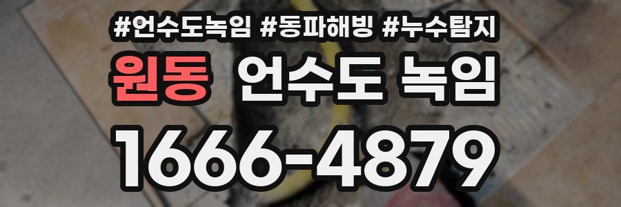 원동 언수도 녹임