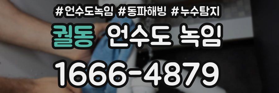 궐동 언수도 녹임