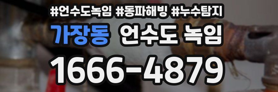 가장동 언수도 녹임