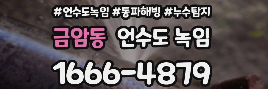 금암동 언수도 녹임