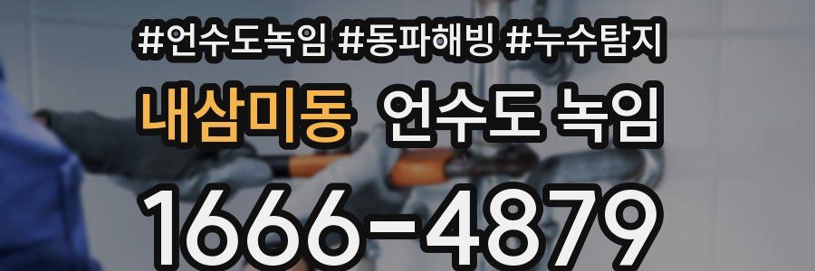 내삼미동 언수도 녹임