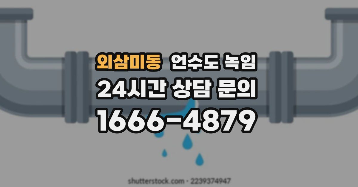 외삼미동 언수도 녹임