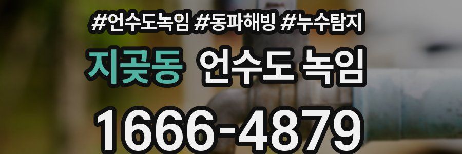 지곶동 언수도 녹임