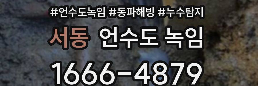 서동 언수도 녹임