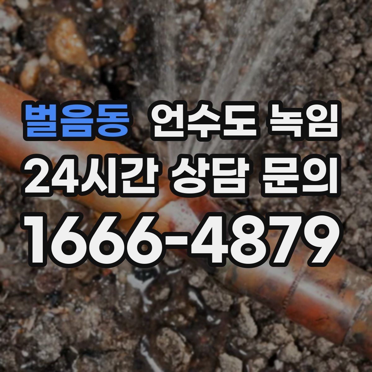 벌음동 언수도 녹임 싱크대 하부장 문을 열어두면 도움이 될까