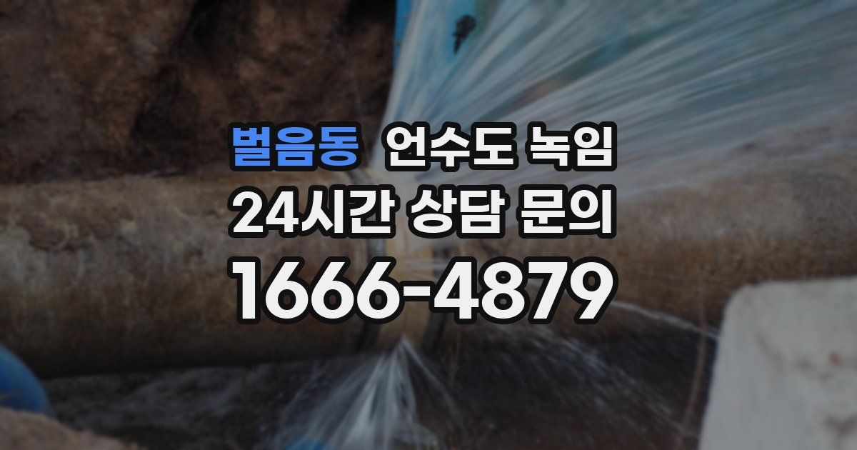 벌음동 언수도 녹임
