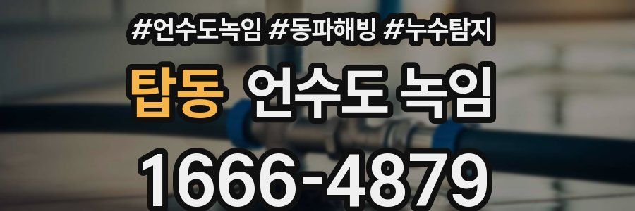 탑동 언수도 녹임