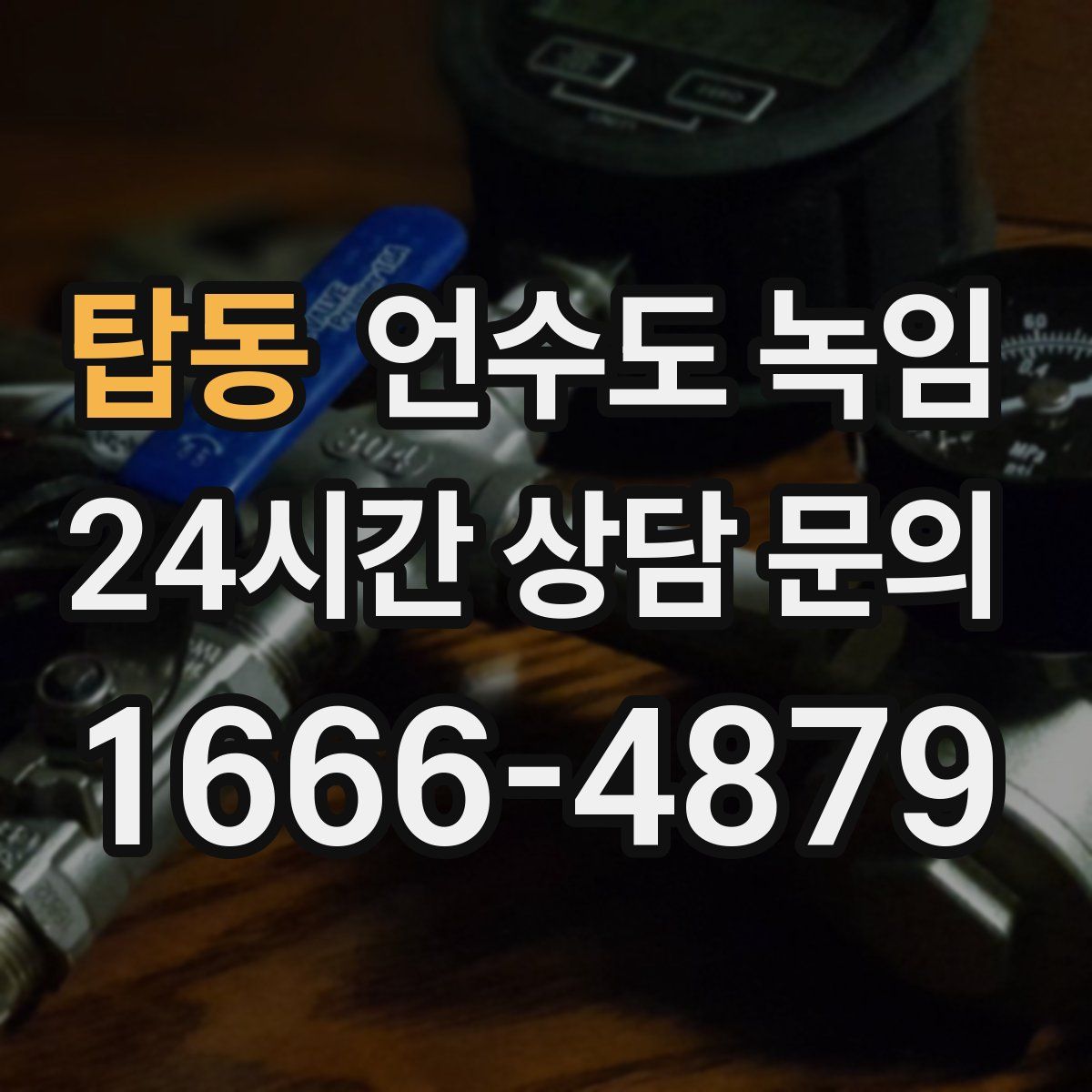 탑동 언수도 녹임