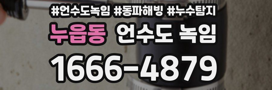 누읍동 언수도 녹임