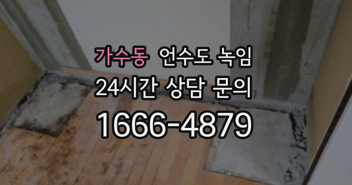 가수동 언수도 녹임