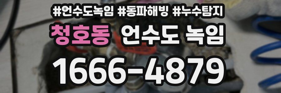 청호동 언수도 녹임