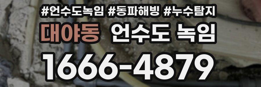 대야동 언수도 녹임