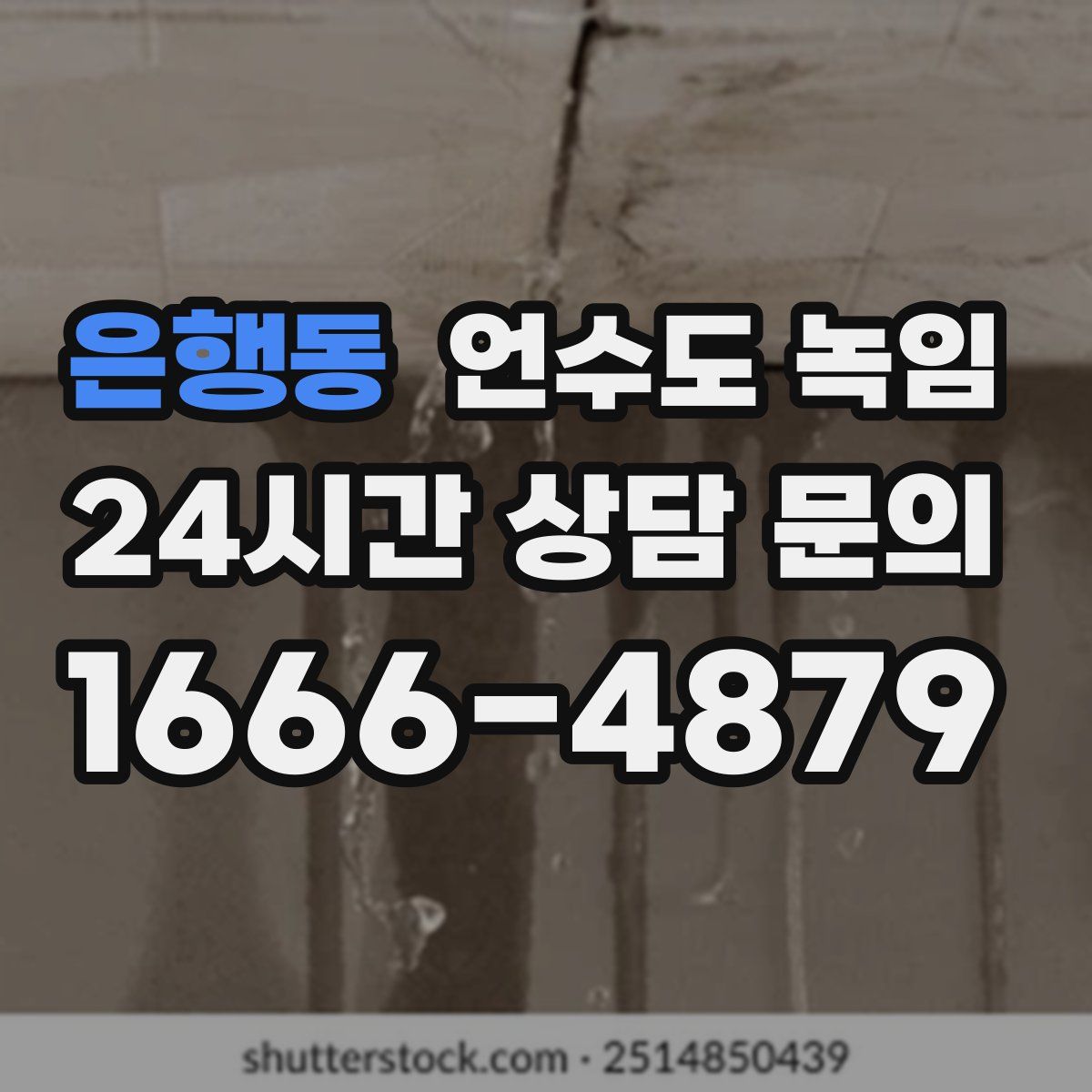 은행동 언수도 녹임