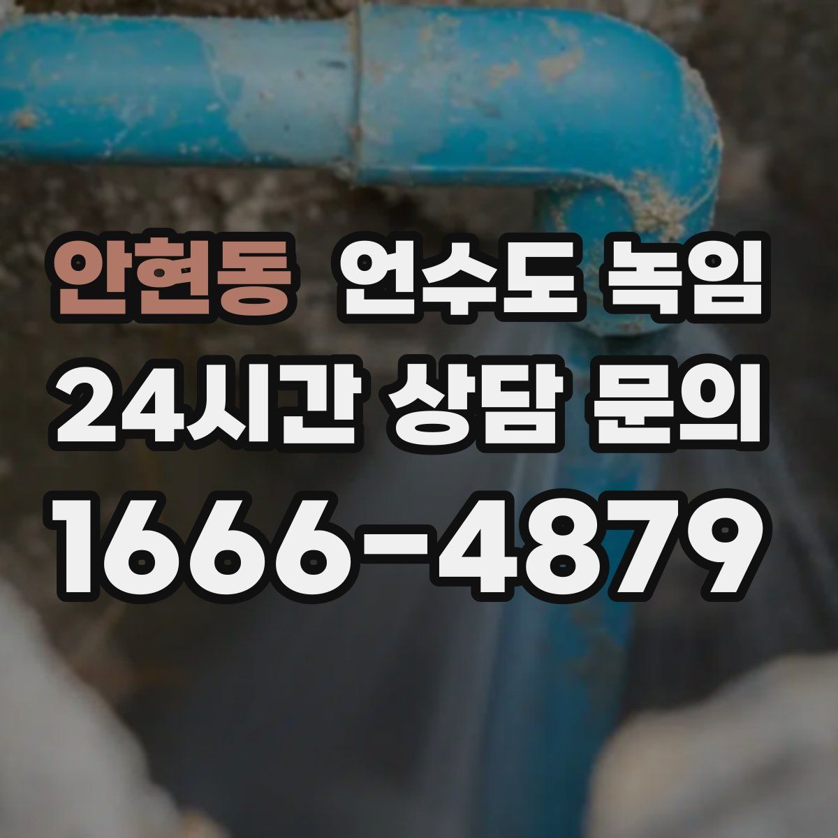 안현동 언수도 녹임