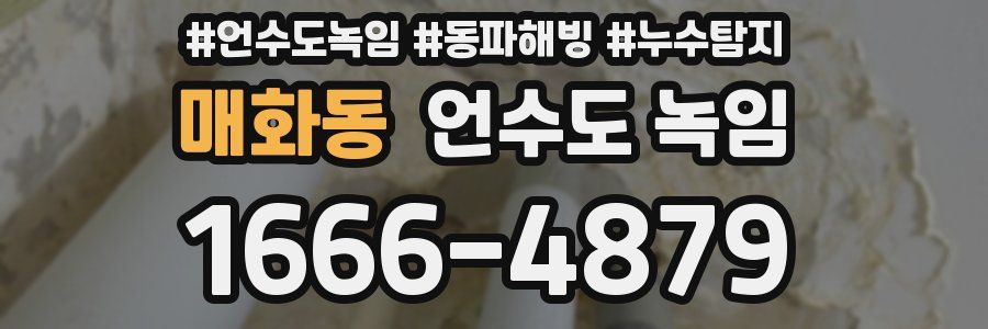 매화동 언수도 녹임