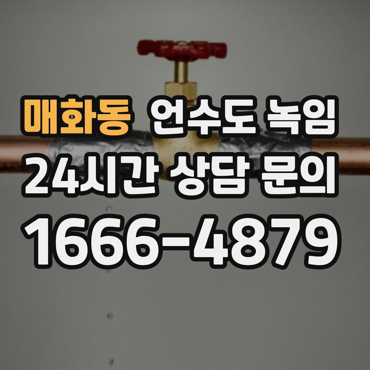 매화동 언수도 녹임