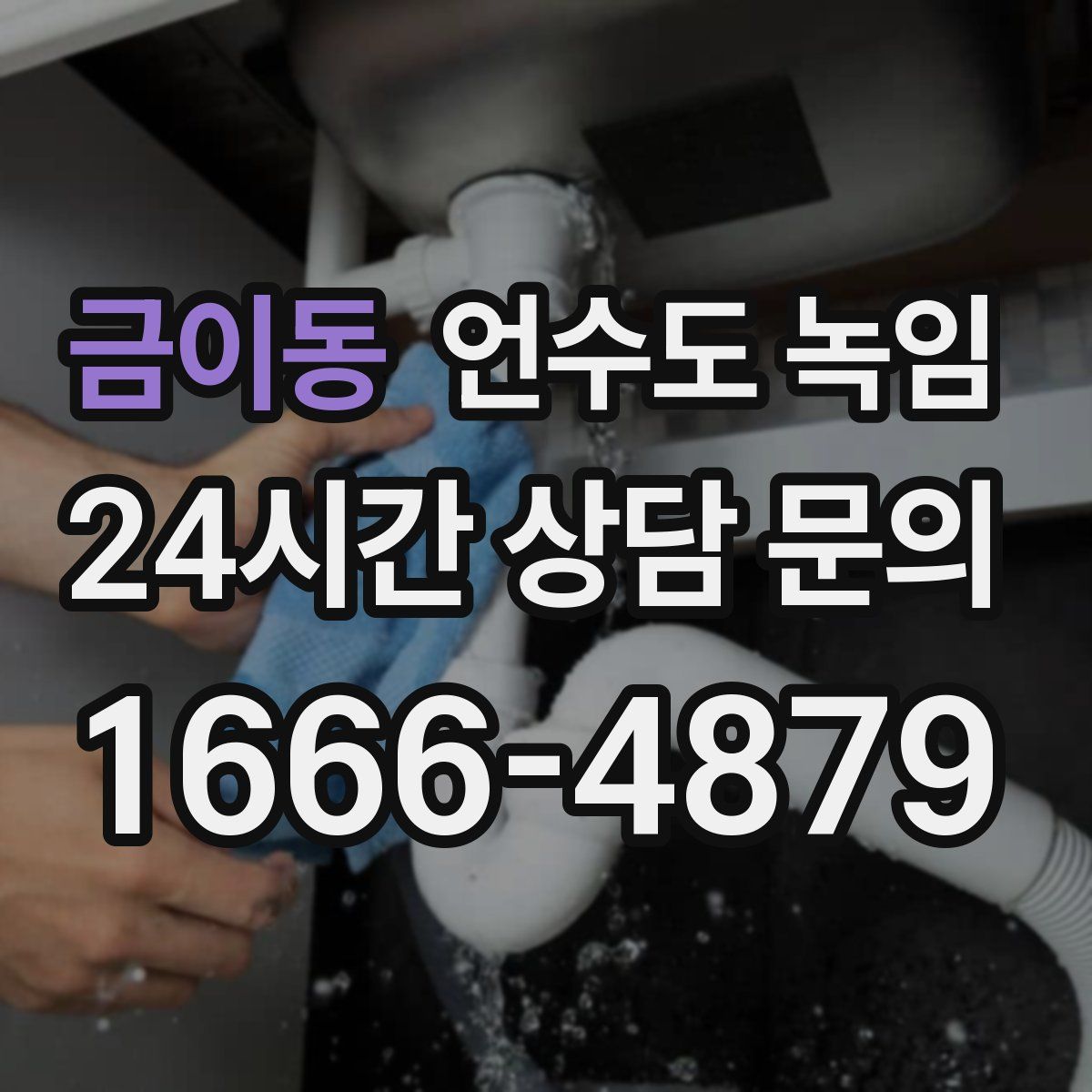 금이동 언수도 녹임