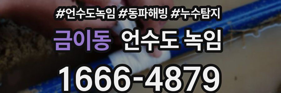 금이동 언수도 녹임