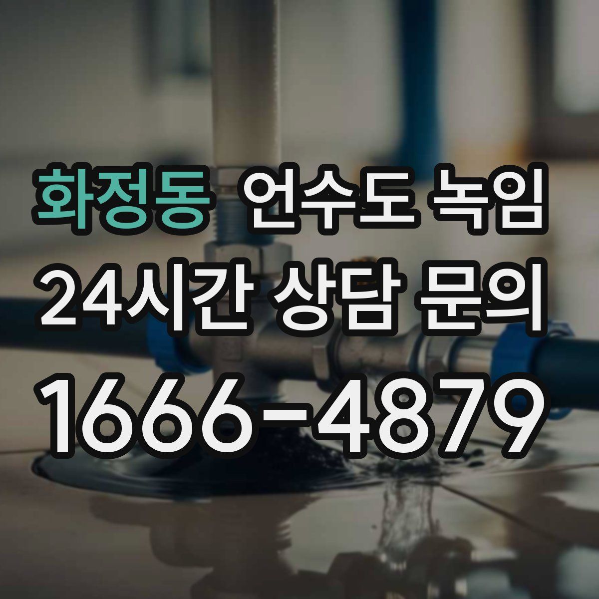 화정동 언수도 녹임