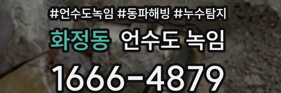 화정동 언수도 녹임