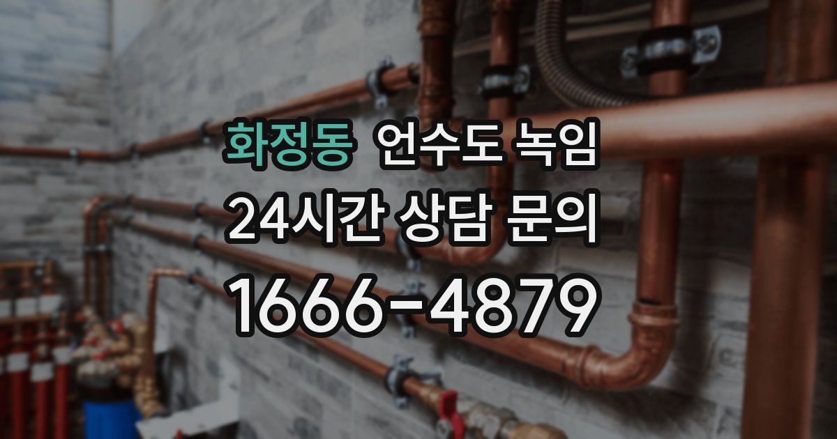 화정동 언수도 녹임