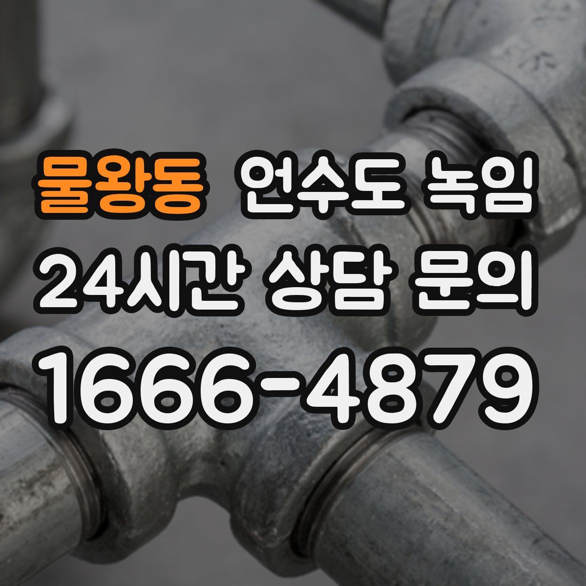 물왕동 언수도 녹임