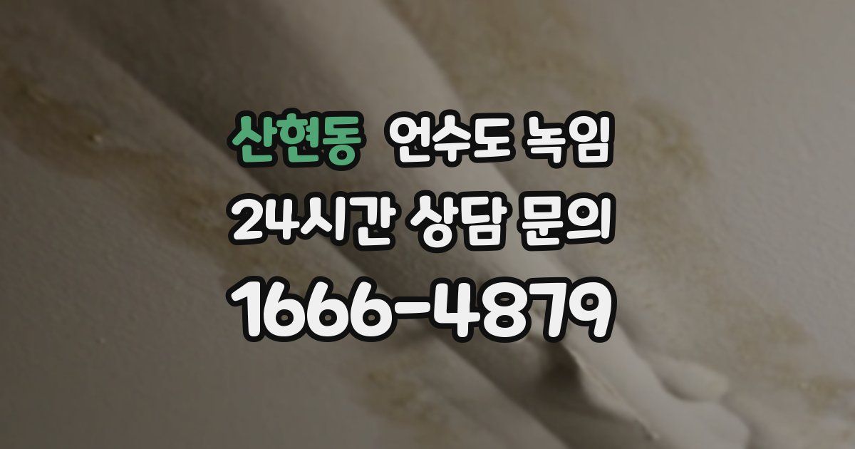 산현동 언수도 녹임