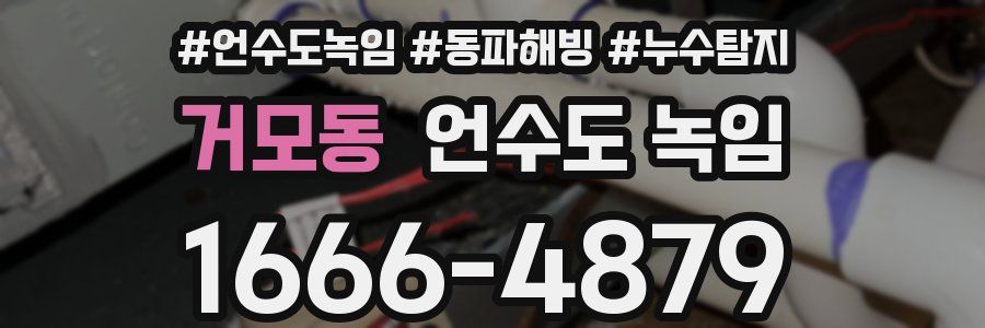 거모동 언수도 녹임