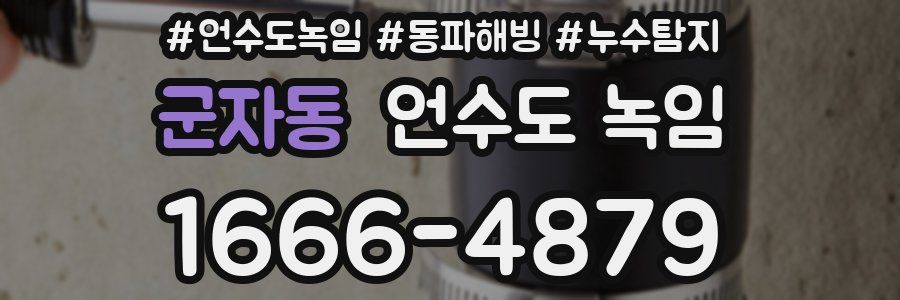 군자동 언수도 녹임