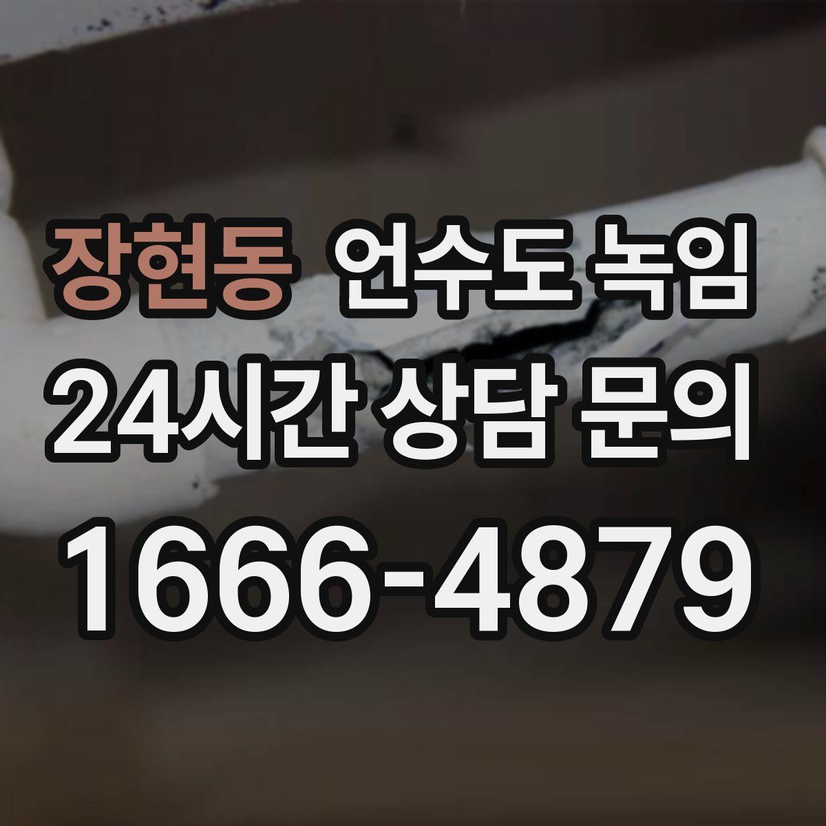 장현동 언수도 녹임